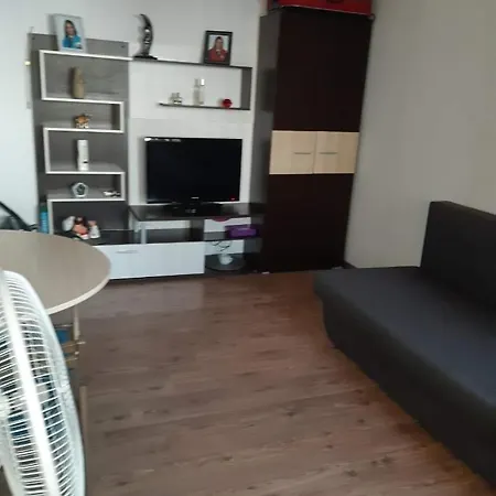 Garsoniera La Coman דירה *